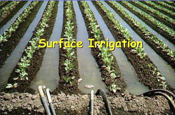 PPT - Surface Irrigation PowerPoint Presentation, free download - ID:1075238