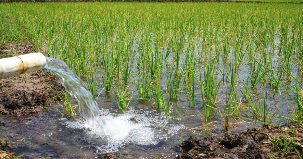 Key Benefits of Flood Irrigation: Why Farmers Still Use It | AgNote