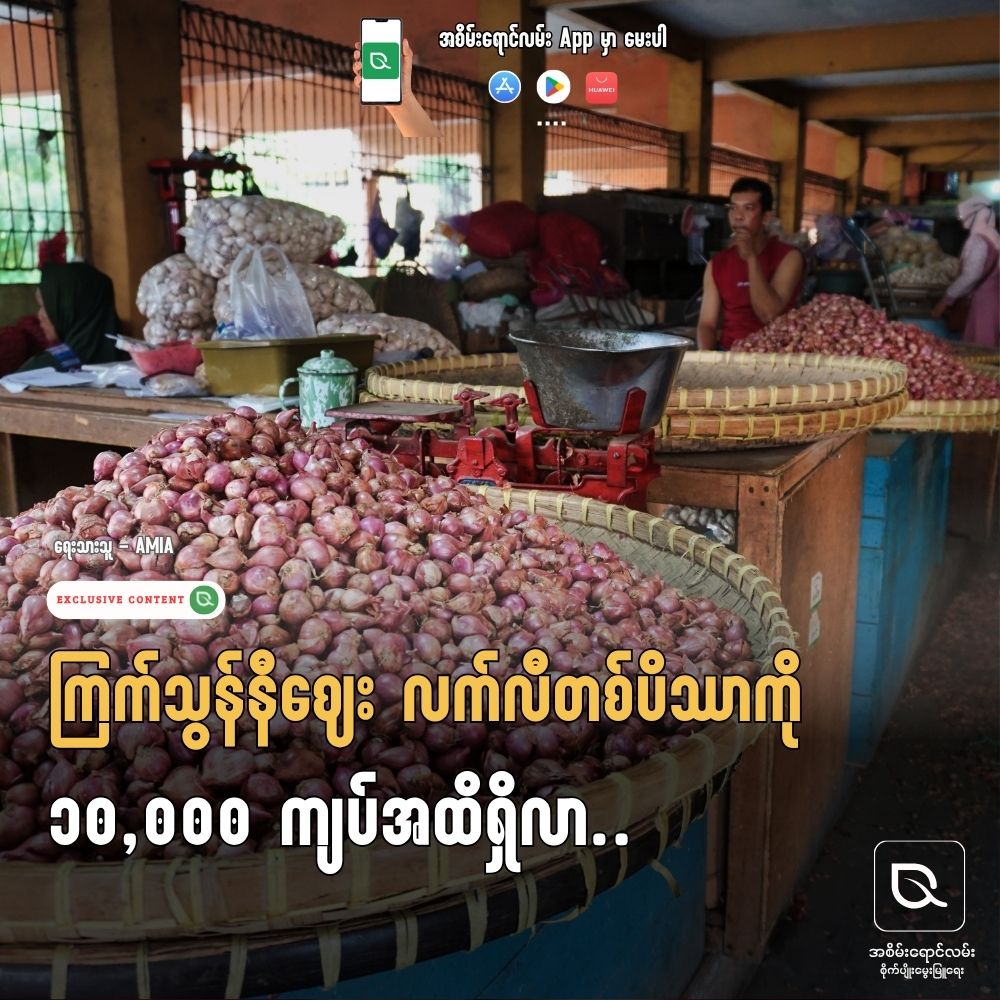 ဆစ်ပိုးအန္တရာယ်ကာကွယ်ခြင်း — စပါး