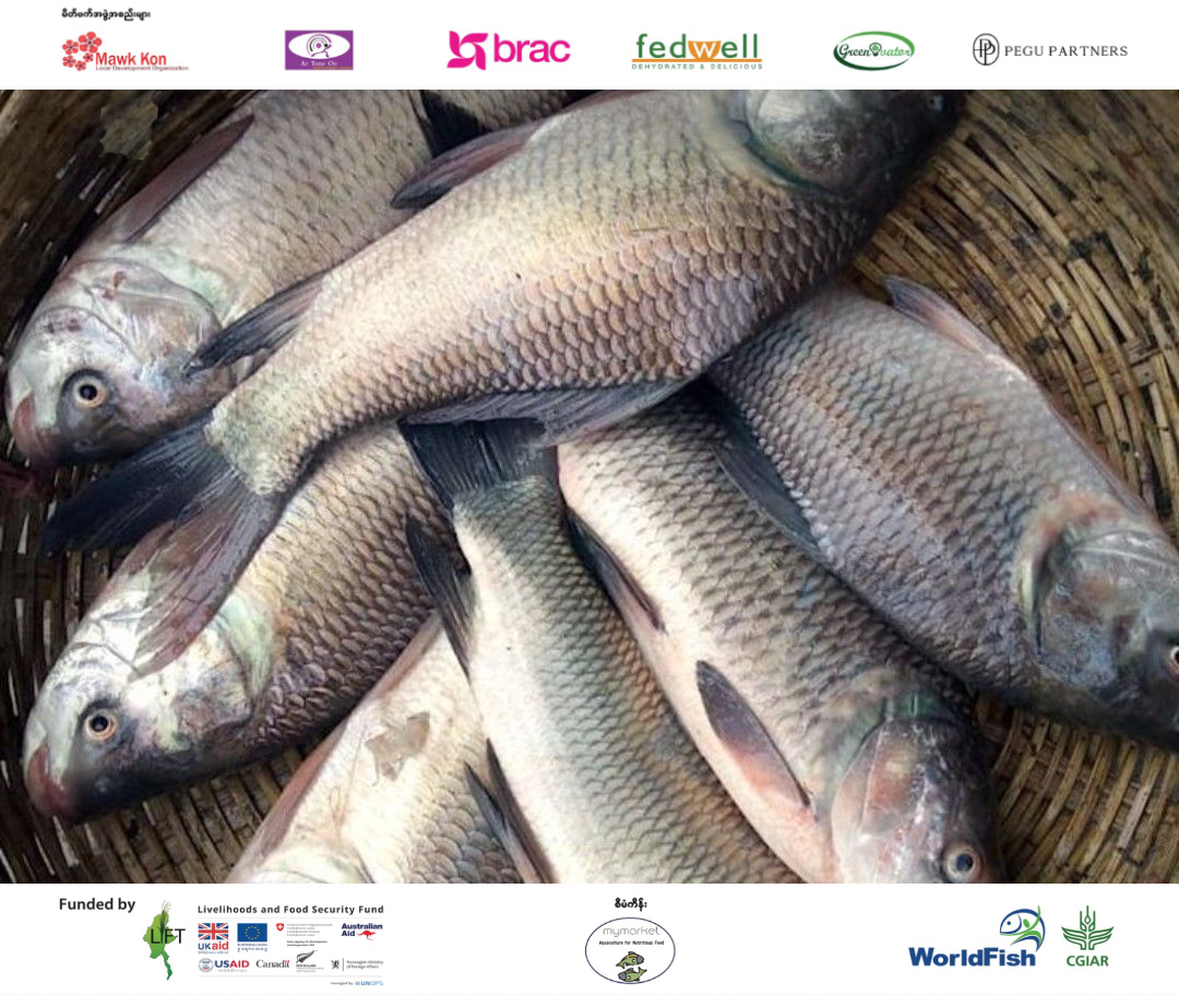 ငါးမွေးတောင်သူများအဖွဲ့ (MyMarket)