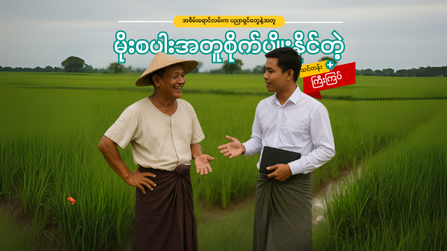 အစိမ်းရောင်လမ်းနဲ့အတူ မိုးစပါးစိုက်ပျိုးမည့် သူများ