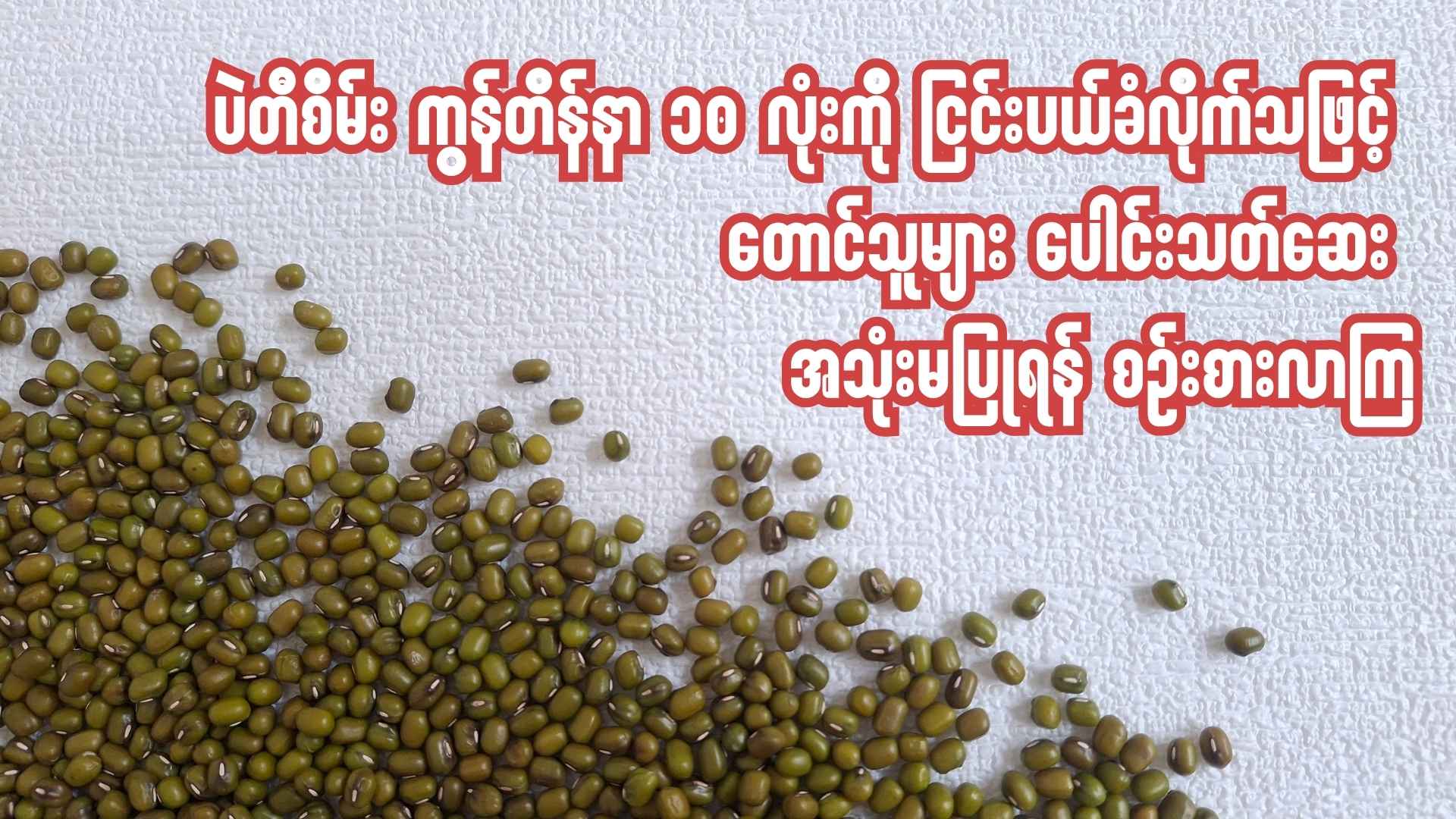 ဩစတြေးလျ ပဲတီစိမ်း ကွန်တိန်နာ ၁၀ လုံးကို တရုတ် ငြင်းပယ်လိုက်သဖြင့် တောင်သူများ ပေါင်းသတ်ဆေး အသုံးမပြုရန် စဉ်းစားလာကြ