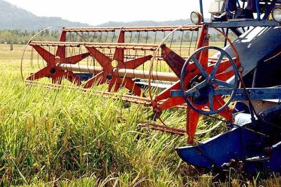 စိုက်ပျိုးသုတ အောက်တိုဘာလ