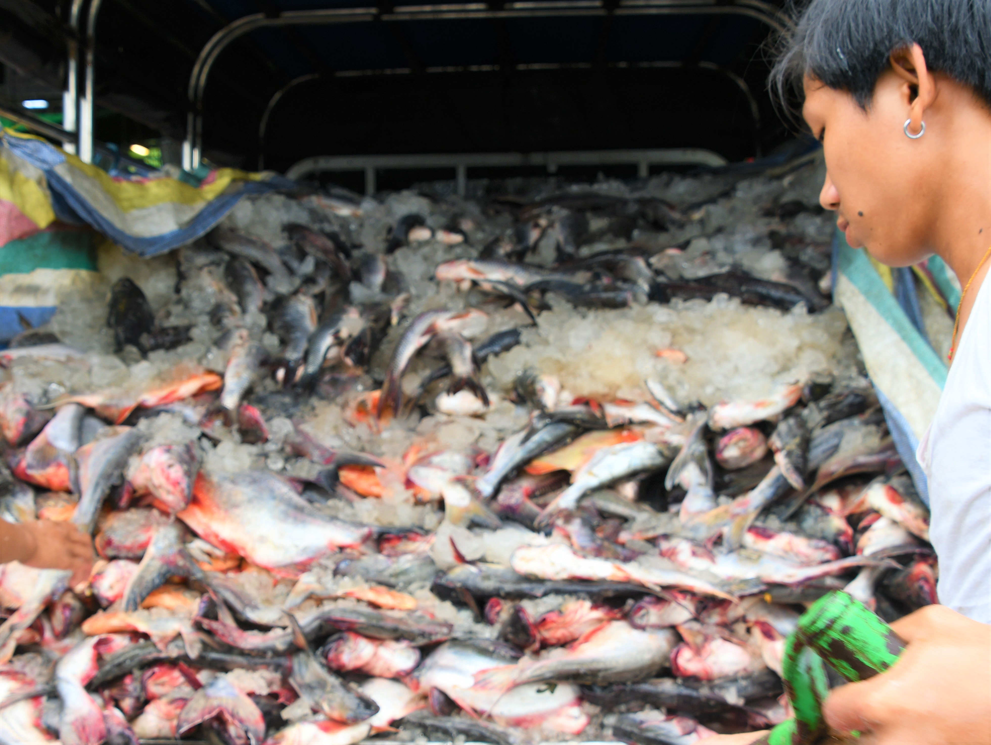 ဘဏ္ဍာနှစ်ဝက်အတွင်း ပြည်ပသို့ ရေထွက်ကုန် တင်ပို့မှု တန်ချိန် ၃ သောင်းကျော် လျော့ကျ