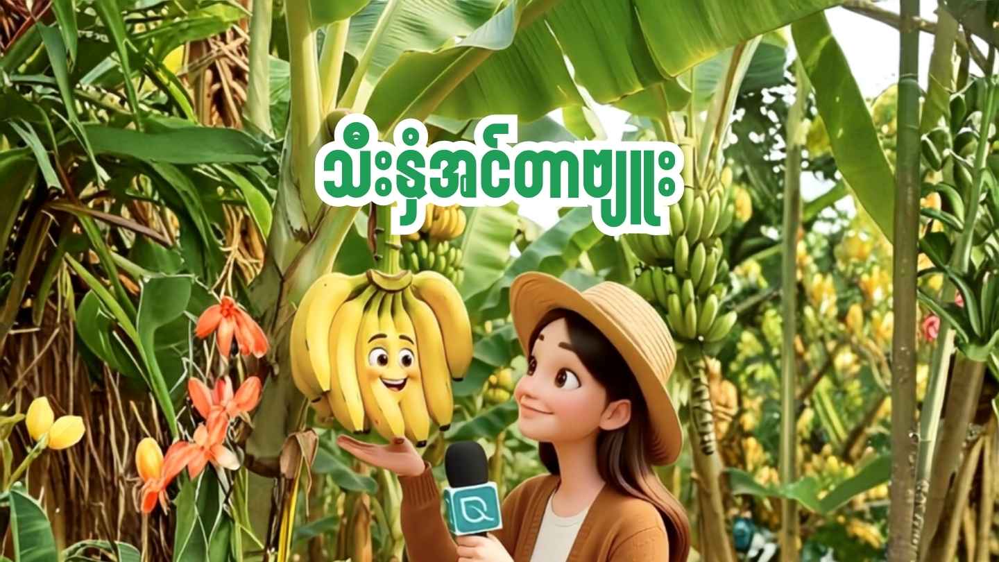 သီးနှံအင်တာဗျူး