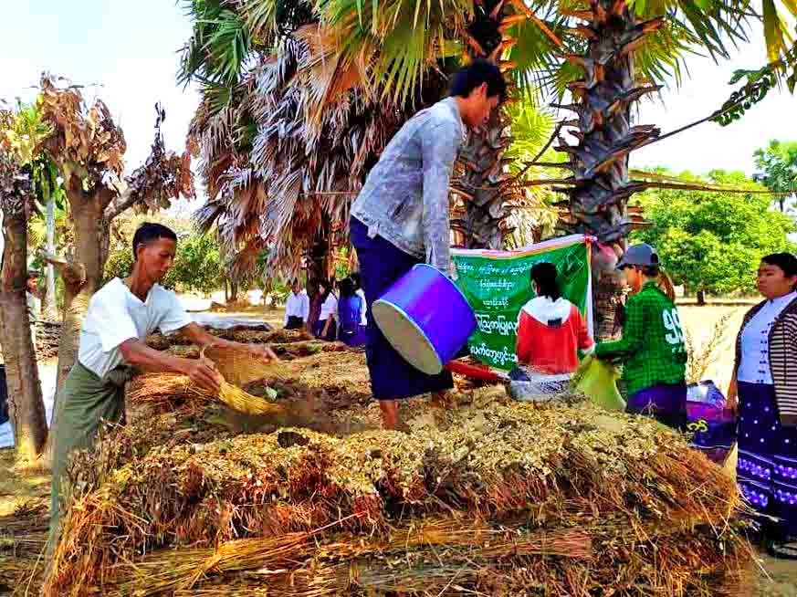 နှမ်းရိုးမြေသြဇာ