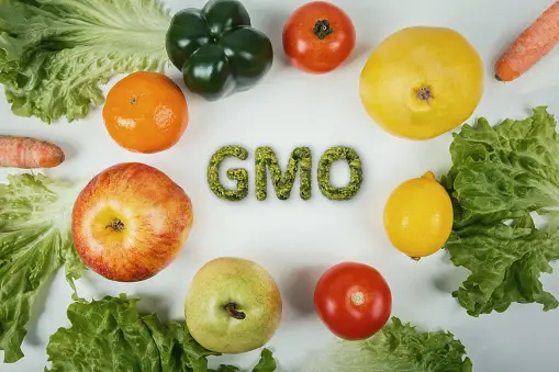 GMO မျိုးဗီဇပြုပြင်သီးနှံများ