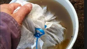 ကြက်ချေးမြေဩဇာ